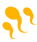 男性不育